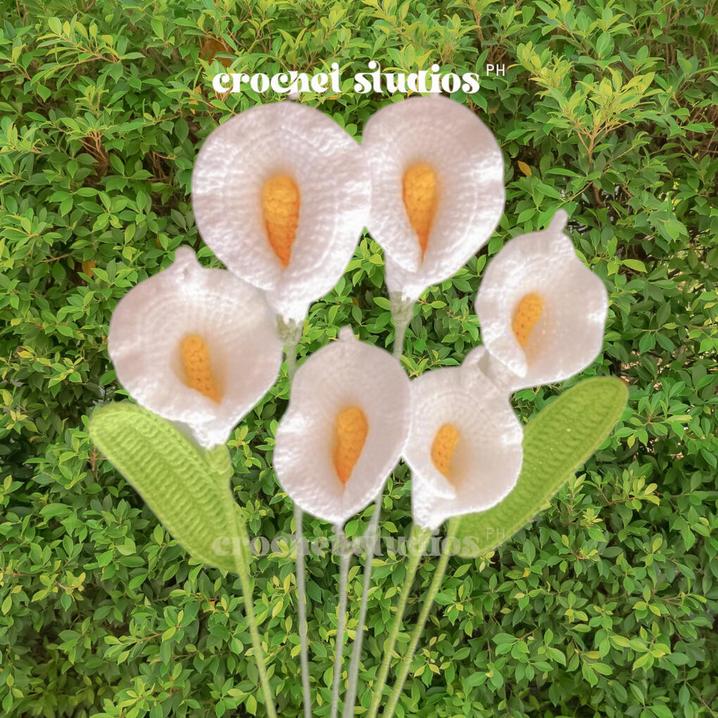 Price per piece/stem: PHP 180 | Bundle Price [3pcs+]: PHP 170 per piece/stem