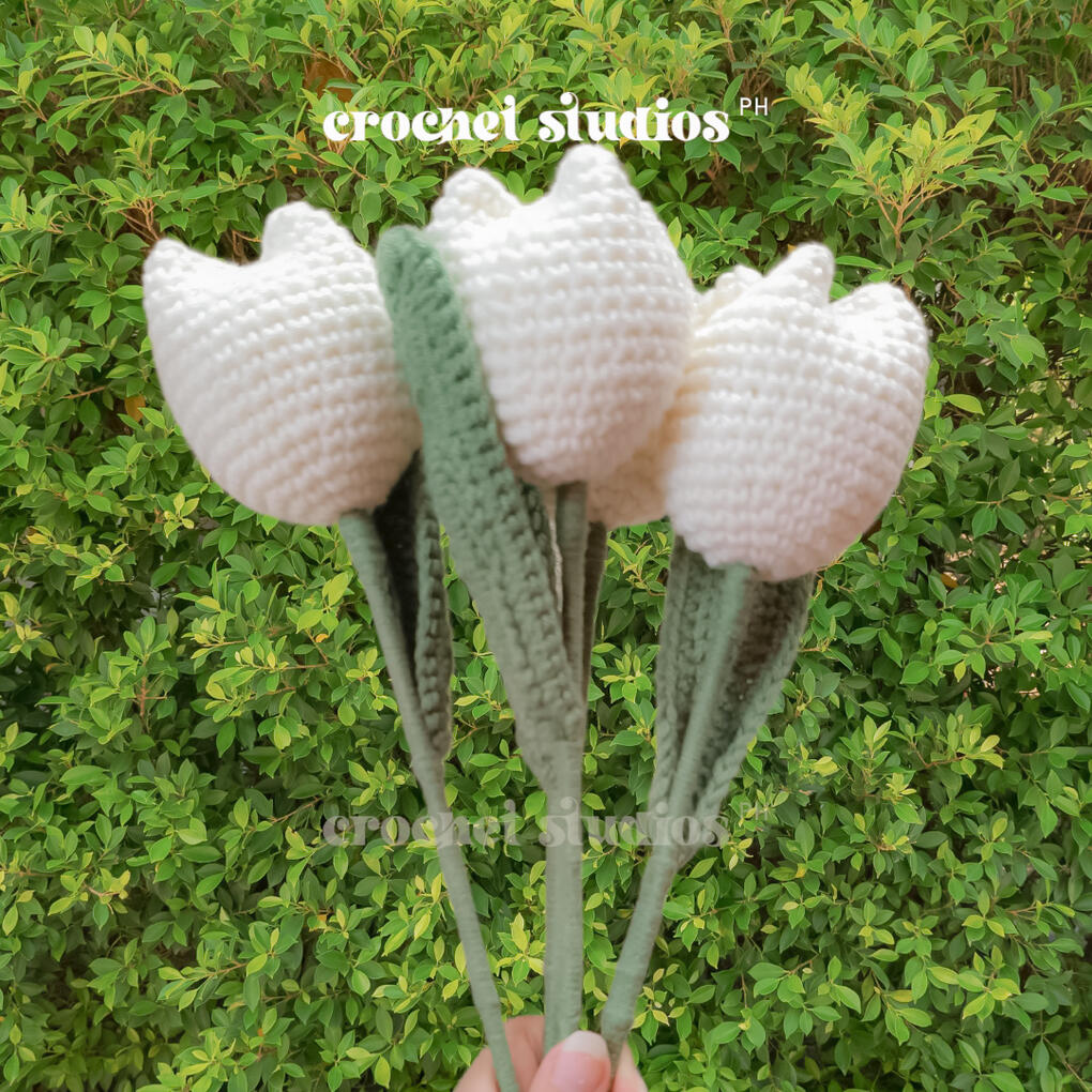 Price per piece/stem: PHP 120 | Bundle Price [3pcs+]: PHP 110 per piece/stem